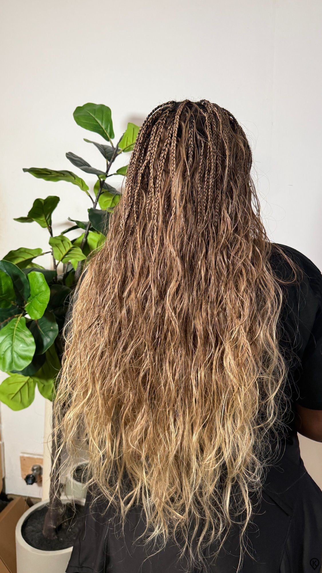 hairbyperpy — Knotless Braids
