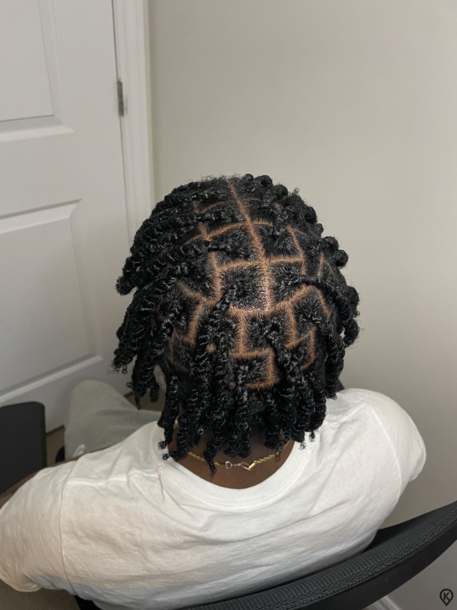 Nehema Hair — Twists